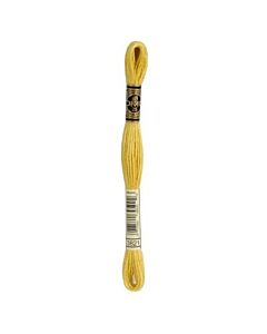 Borduurzijde DMC Mouline Special 117 kl.3821 mosterd geel