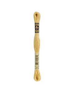 DMC Mouline Special 117 kl.676 licht oud goud