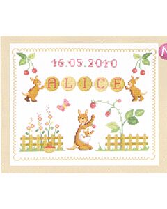 Voornaam Kangaroos borduurpakket