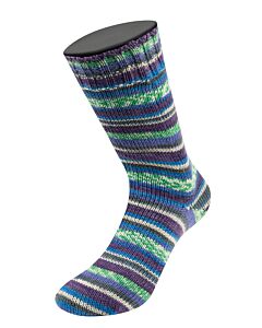 Lana Grossa Landlust Die Sockenwolle kl.938 (wit/grijs/groen/blauw/paars)