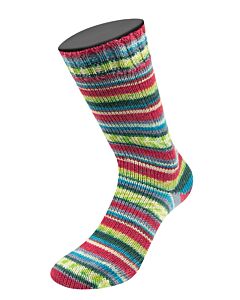 Lana Grossa Landlust Die Sockenwolle kl.616 (grijs/roze/bruin/blauw)