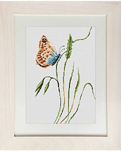 Borduurpakket Butterfly vlinders  om te borduren van Luca-s  b2244