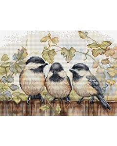 Luca-s borduurpakket 'birds' BU5066 telpatroon