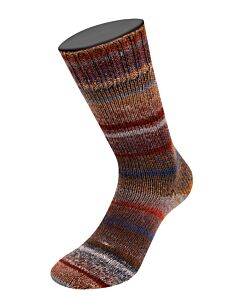 Lana Grossa Meilenweit Rainbow kleur 6406 (grijs/bruin/donkerpaars/donkerblauw)
