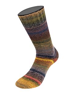 Lana Grossa Meilenweit Rainbow kleur 6407 (grijs/groen/bruin/donkerpaars)