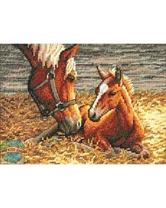 Dimensions borduurpakket veulen met paard 70-65119 borduren