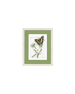 borduurpakket  van rups tot vlinder (from caterpillar to butterfly)