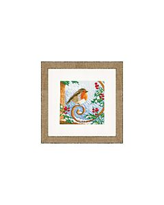 Borduurpakket trots roodborstje