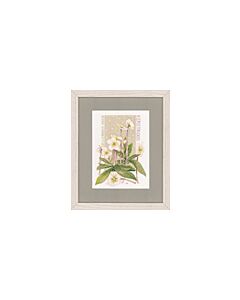 Borduurpakket marjolein bastin Witte pracht (pure white)