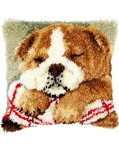 knoopkussen slapende bulldog