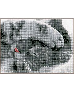 Borduurpakket Schattige kitten van Vervaco  