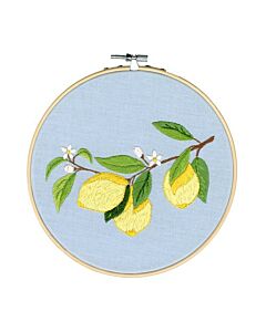 Restyle borduurpakket citroen vrij borduren