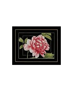  roze roos van lanarte pn-0155749 aida zwart