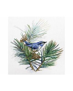 RTO borduurpakket Winter Bird M910