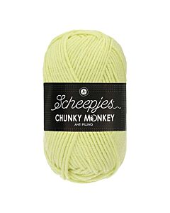 Scheepjes Chunky Monkey  kl.1020 munt