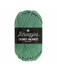 Scheepjes Chunky Monkey kl.1725 Eucalyptus