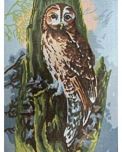 Voorbedrukte canvas uil om te borduren (stramien)