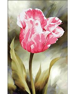 Voorbedrukt borduurpakket  Lonely Elegant - tulp op aida Needleart World 450.036