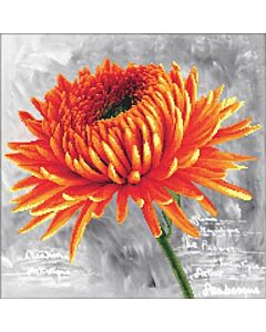 Voorbedrukt borduurpakket Orange Dahlia op aida Needleart World