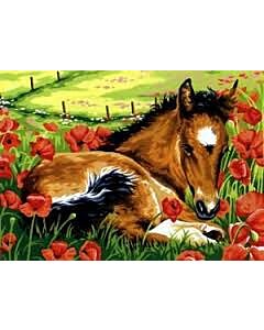 Voorbedrukt canvas het veulen om te borduren van Margot 1531361